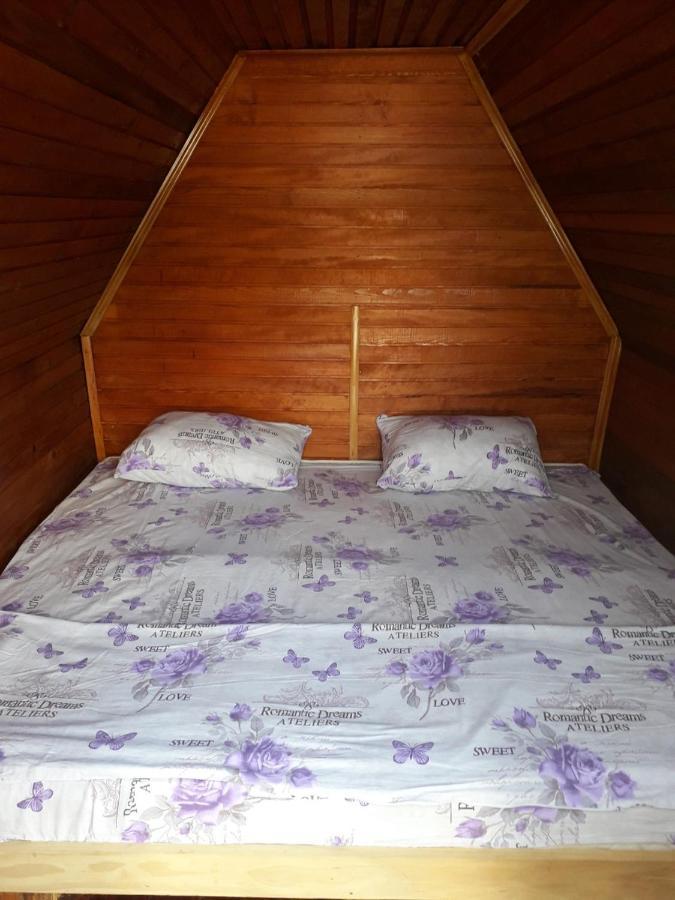 Prenociste Vitas Bed and Breakfast Miljevina Esterno foto