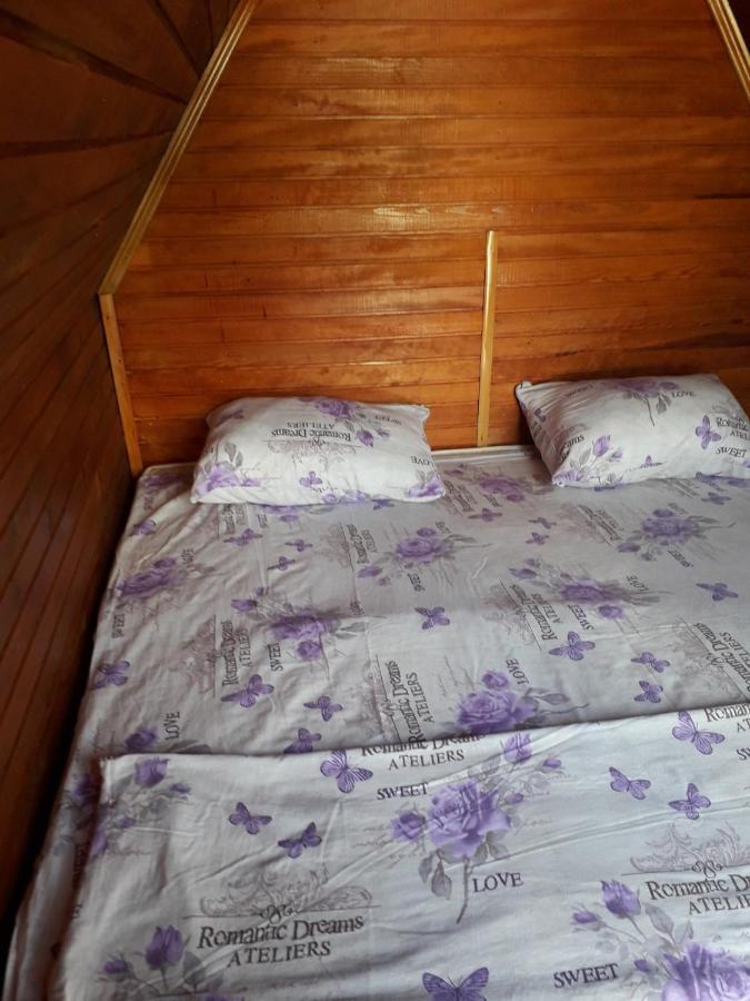 Prenociste Vitas Bed and Breakfast Miljevina Esterno foto